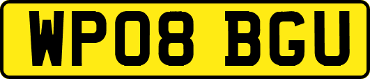 WP08BGU