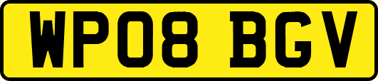 WP08BGV