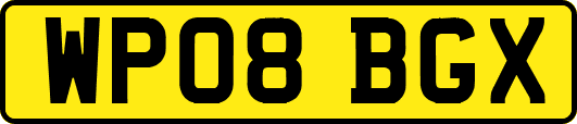 WP08BGX