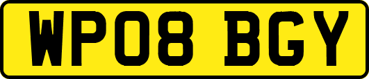 WP08BGY