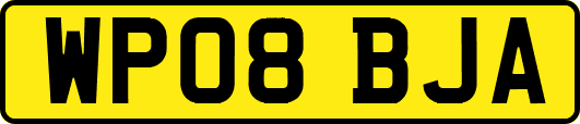 WP08BJA