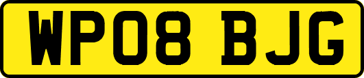WP08BJG