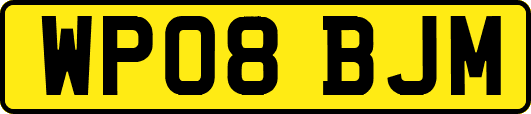 WP08BJM
