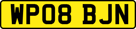 WP08BJN