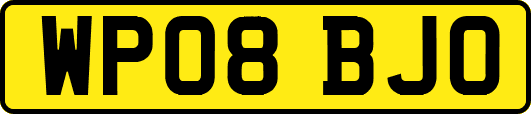 WP08BJO