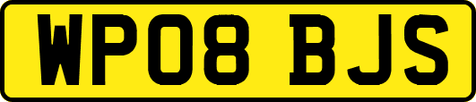 WP08BJS