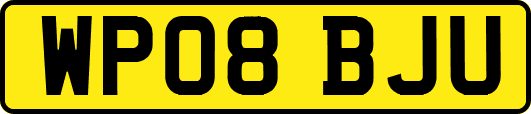 WP08BJU