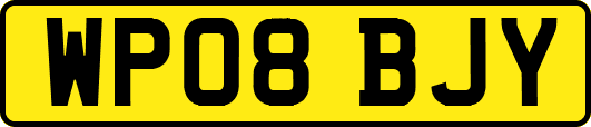 WP08BJY