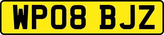 WP08BJZ