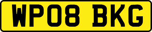 WP08BKG