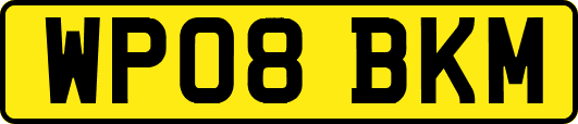 WP08BKM