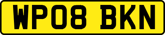 WP08BKN