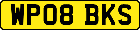 WP08BKS