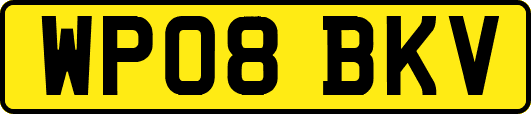 WP08BKV