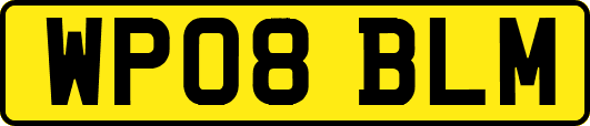 WP08BLM