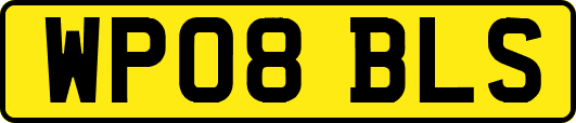 WP08BLS