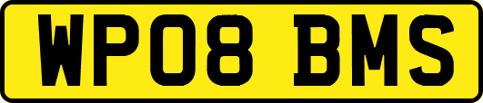 WP08BMS