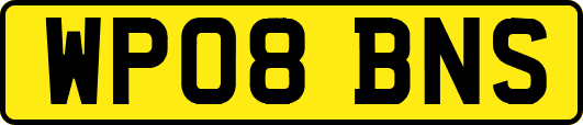 WP08BNS