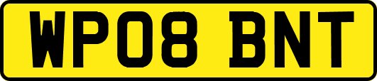 WP08BNT