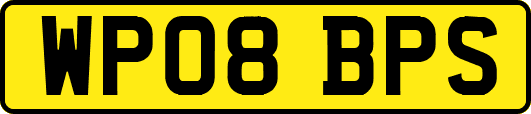 WP08BPS