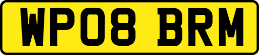 WP08BRM