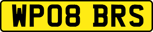 WP08BRS