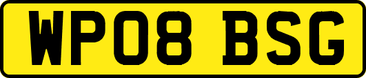 WP08BSG