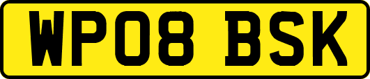 WP08BSK