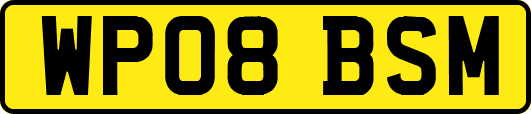 WP08BSM