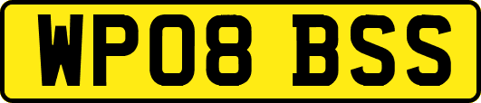 WP08BSS