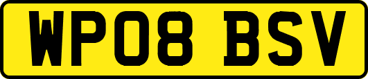 WP08BSV