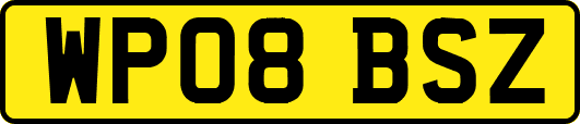 WP08BSZ