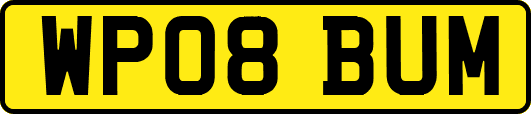 WP08BUM