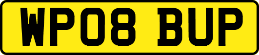 WP08BUP