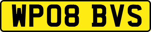 WP08BVS