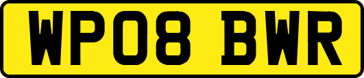 WP08BWR