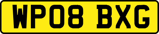 WP08BXG