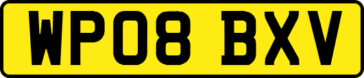 WP08BXV