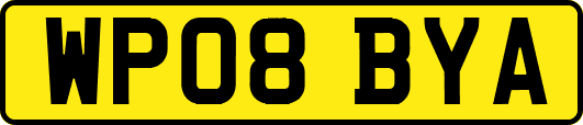 WP08BYA