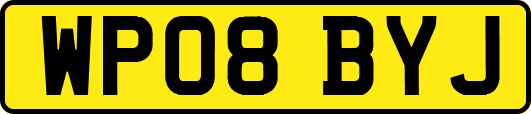 WP08BYJ