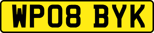 WP08BYK