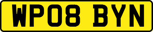 WP08BYN