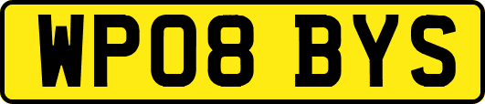 WP08BYS