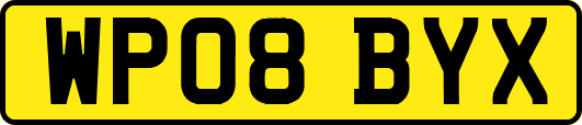 WP08BYX