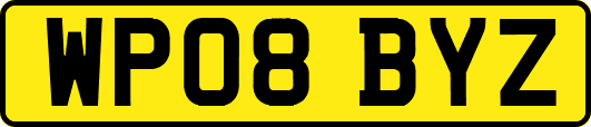 WP08BYZ