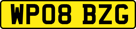 WP08BZG