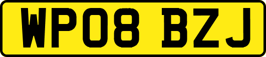 WP08BZJ