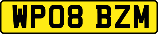 WP08BZM