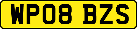 WP08BZS