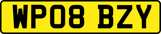 WP08BZY